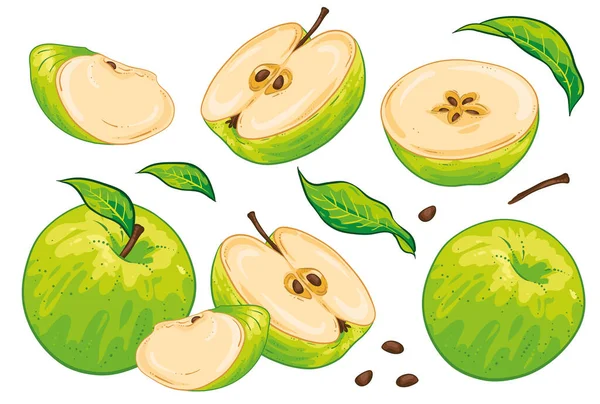 Gruppe Von Früchten Geschnitten Grüne Apfelscheiben Apfelkerne Und Blätter Vereinzelt — Stockvektor