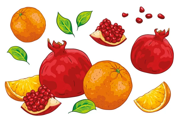 Grupo Semillas Granada Cortadas Fruta Naranja Cortada Con Hojas Aislado — Vector de stock