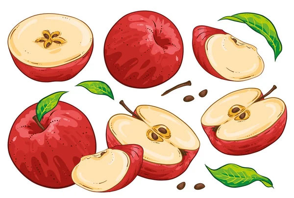 Grupo Manzanas Cortadas Fruta Semillas Manzana Hojas Aislado Sobre Fondo — Archivo Imágenes Vectoriales