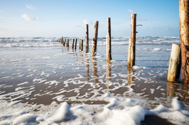 Danimarka adasının kıyısında.