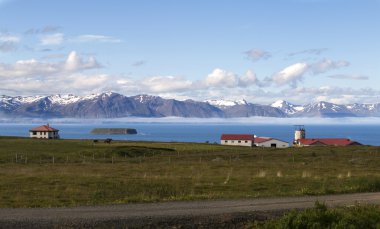 İzlanda'daki çiftlik