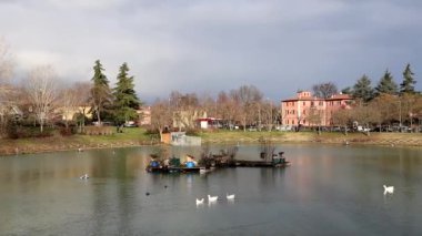 İtalya, Bologna 'da yapay göl. Vahşi kuşlar yiyecek aramak için uçuyor.