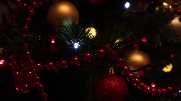 Ізольовані Освітлені Різдвяні Ялинки Змінюють Світло — стокове відео