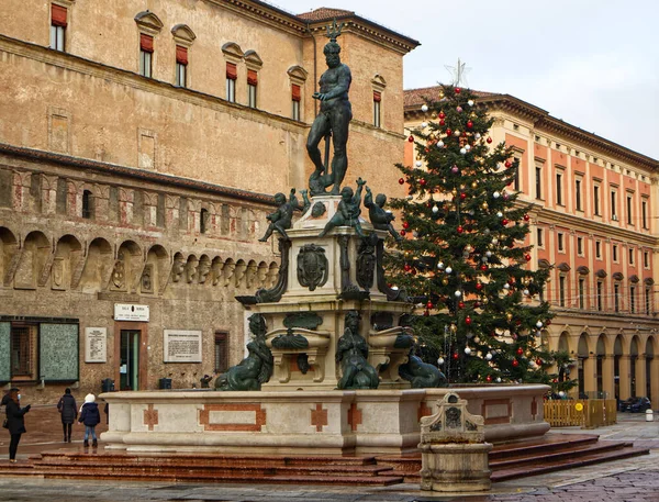 Grande Árvore Natal Piazza Nettuno Bolonha Itália — Fotografia de Stock