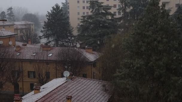 Πτώση Χιονιού Στην Πόλη Της Μπολόνια Ιταλία — Αρχείο Βίντεο