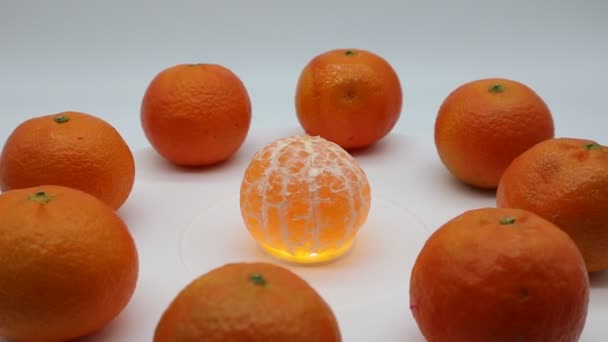 白を基調とした回転ディスプレイ上の新鮮なみかんの果実 — ストック動画