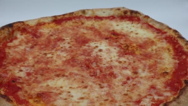 Pizza Italiana Margherita Isolada Sobre Fundo Branco Rotação Close — Vídeo de Stock