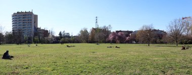 İnsanlar covid-19 salgını sırasında parkta rahatlarken sosyal mesafeyi ve tıbbi maskeleri koruyorlar..