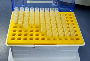 Bir ekran kutusunda 0. 1 ml mikro pipette görünüm için ipucu.