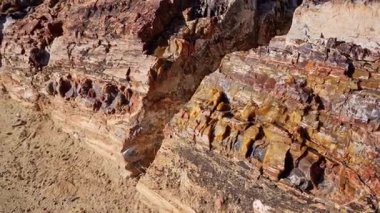 Çöl manzarasında renkli mineral kristalleri olan taşlaşmış ahşap kütükler..