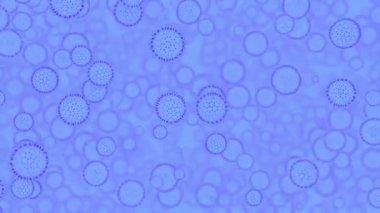 Küresel bakteri veya virüs hücrelerinin mikroskobik animasyonu.