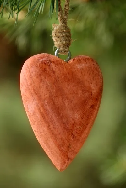 A red Heart — Stock Photo, Image