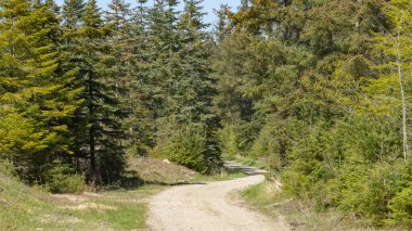 Danimarka 'nın kuzey kıyısındaki Ulusal Park