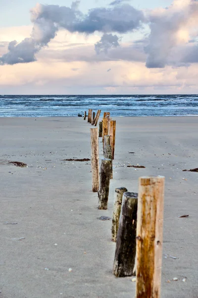 朝のデンマークの北海沿岸の木製の棒 — ストック写真