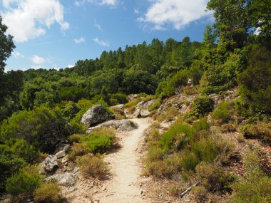 Alta Rocca 'daki Korsika dağlarının kayalık ve yeşil manzarasını keşfetmek için yürüyüş izleri. 