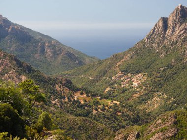 Korsika 'nın mavi gökyüzünün altındaki dağlardaki Aiton ormanlarından ve kayalardan oluşan bir manzara.