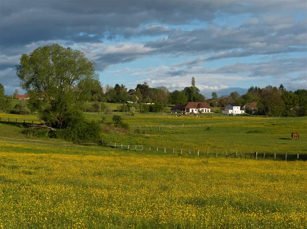 Butterblume Und Grüne Felder Sind Die Illustration Des Französischen Hinterlandes — Stockfoto