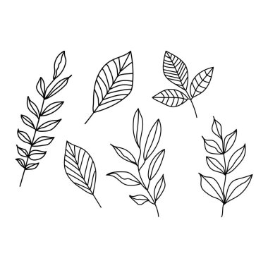 El yapımı yaprakları ve soyut şekilleri olan modaya uygun bir set. Modern soyut botanik duvar resimleri. Galeri, ev dekorasyonu, baskı, kapak ve duvar kağıdı için vektör illüstrasyonu.