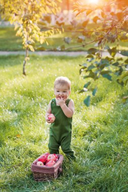 Lezzetli karpuz ve doğada küçük komik bir bebek. Karpuzla ilk çocuk beslemesi....