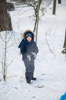 Küçük çocuk karlı ormanda kızakla kayarken dışarıda eğleniyor. Aktif çocukluk, mevsimlik açık hava eğlencesi, kış macerası, aile eğlencesi ve sağlıklı yaşam tarzı konsepti..
