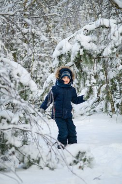 Küçük çocuk karlı kış ormanlarında yürüyor ve oynuyor. Doğal çocukluk, kış mevsimi, açık hava yaşam tarzı, aile eğlencesi, keşif ve doğa ile bağlantı