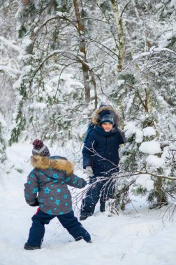İki genç çocuk, karlı ormanda kış gününün keyfini çıkarıyorlar. Çocuklar oynar, doğayı keşfeder, kızağa biner ve karla kaplı ağaçların arasında eğlenir.