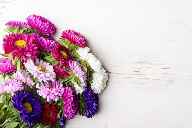 Aster çiçekler