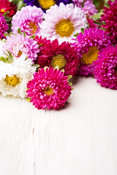 Aster flowers — Stock Photo, Image