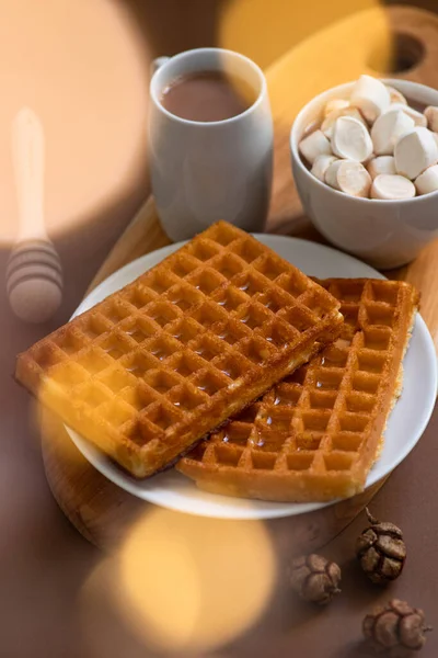 Winter sweet breakfast with waffles, honey, cocoa drink with marshmallows, served on a wooden board and a brown background with festive Christmas decorations. Winter mood. Close-up. Selective focus
