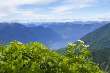 Dağ yolunda çiçekler ve Lombardiya 'da panoramik manzara, İtalya' da seyahat ve manzaralar