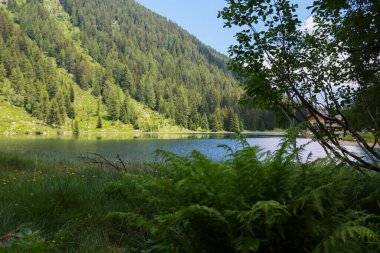 Sığınağın yolundan güzel panoramik manzara ve Adamello 'daki Nambino Gölü Trentino' daki Brenta Parkı, İtalya 'daki seyahat ve manzaralar 