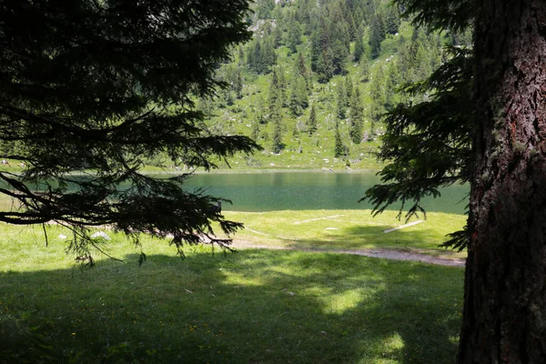 Nambino See Adamello Brenta Park Trentino Reisen Und Landschaften Italien — Stockfoto