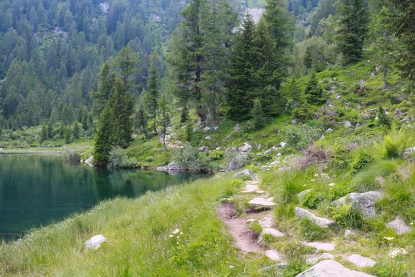 Weg Des Nambino Sees Adamello Brenta Park Trentino Reisen Und — Stockfoto