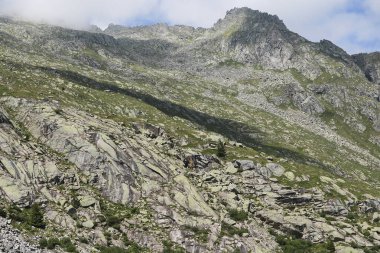 Trentino 'daki Val Nambrone' daki Cornisello göllerine, İtalya 'daki seyahat ve manzaralara uzanan dağların güzel panoramik manzarası. 