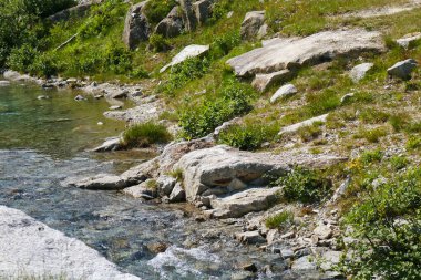 Trentino 'daki Val Nambrone' daki Cornisello göllerine giden yol üzerindeki nehir İtalya 'daki seyahat ve manzaralar 