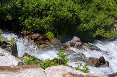 Trentino 'daki Val Nambrone' daki Cornisello göllerine giden yol üzerindeki nehir İtalya 'daki seyahat ve manzaralar 