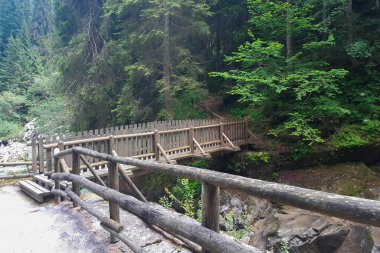 Trentino 'daki Val Cenova' daki Lares şelalesine uzanan şelale yolu üzerindeki ahşap köprü İtalya 'daki seyahat ve manzaralar.