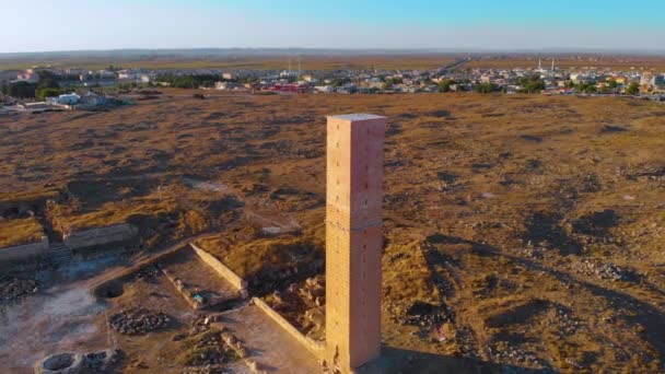 Antik Carrhae Olan Harran Türkiye Nin Harran Şehrinde Sanlurfa Nın — Stok video