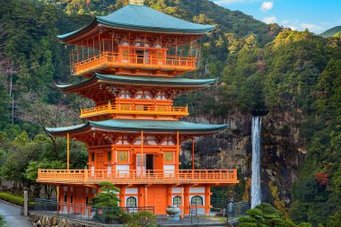  Nachi Katsuura Wakayama, Japonya, Seiganto-ji Tapınağı Pagoda