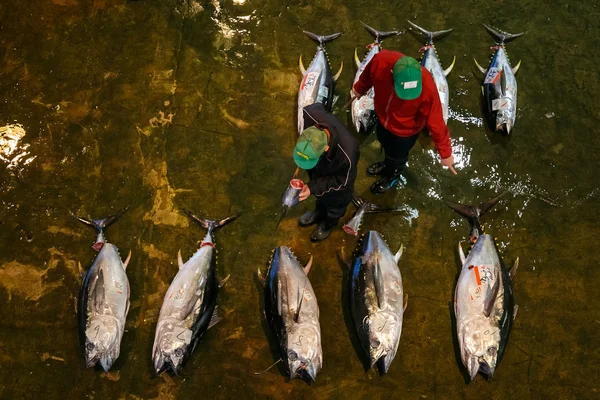 Katsuura Nigiwai Market en Wakayama, Japón —  Fotos de Stock