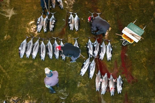 Katsuura Nigiwai Market en Wakayama, Japón —  Fotos de Stock