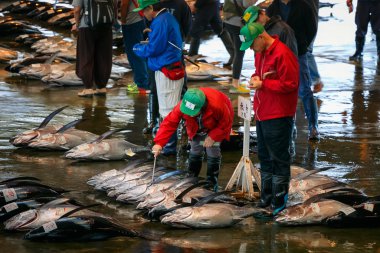 Katsuura Nigiwai çarşı içinde Wakayama, Japonya