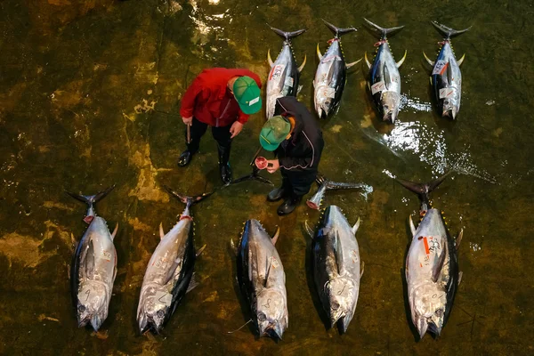 Katsuura Nigiwai Market en Wakayama, Japón —  Fotos de Stock