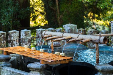 Chuzuya (veya Temizuya) arınma alanı Seiganto-ji tapınağı, Wakayama, Japonya