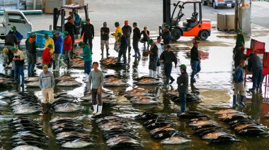 Katsuura Nigiwai çarşı içinde Wakayama, Japonya