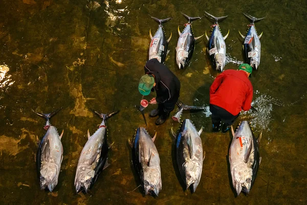 Katsuura Nigiwai Market en Wakayama, Japón —  Fotos de Stock