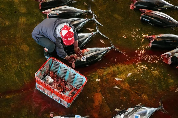 Katsuura Nigiwai Market en Wakayama, Japón —  Fotos de Stock