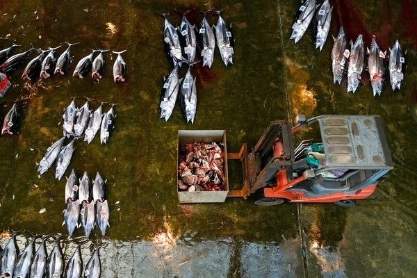 Katsuura Nigiwai Market en Wakayama, Japón —  Fotos de Stock