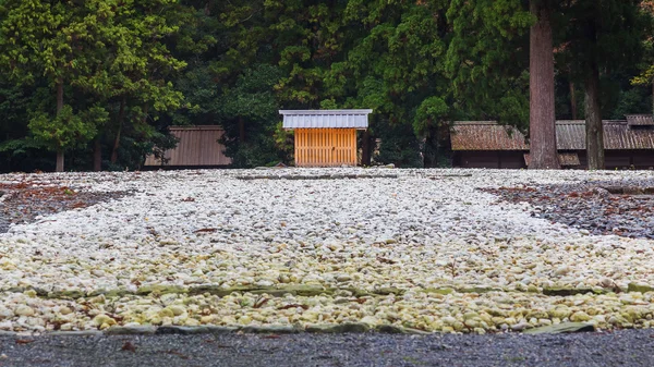 Ise Jingu Geku(Ise Grand shrine - outer shrine) in Ise City, Mie Prefecture — Stock Photo, Image
