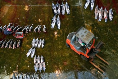 Katsuura Nigiwai çarşı içinde Wakayama, Japonya
